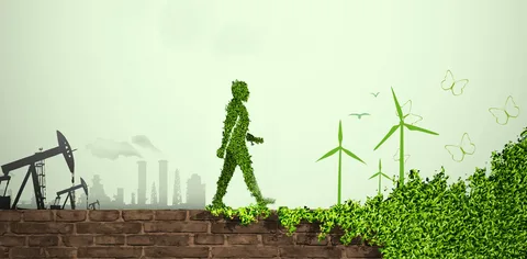 Реестр ИТ-решений пополнился новыми проектами